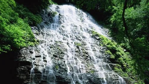 数字化高性能高质量